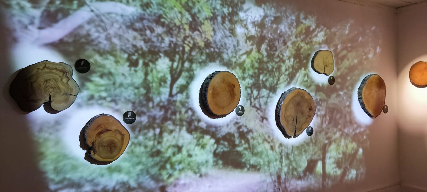 Museo natural